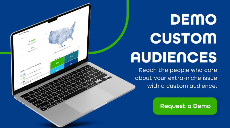Demo custom audiences